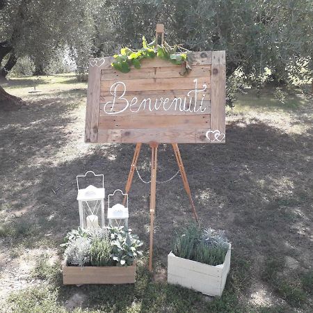 Agriturismo Fonteregia مونتيكاتيني تيرمي المظهر الخارجي الصورة