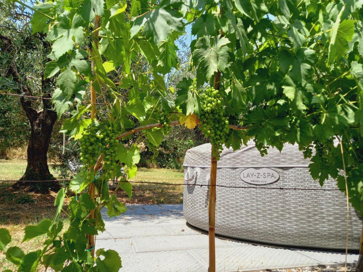 Agriturismo Fonteregia مونتيكاتيني تيرمي المظهر الخارجي الصورة
