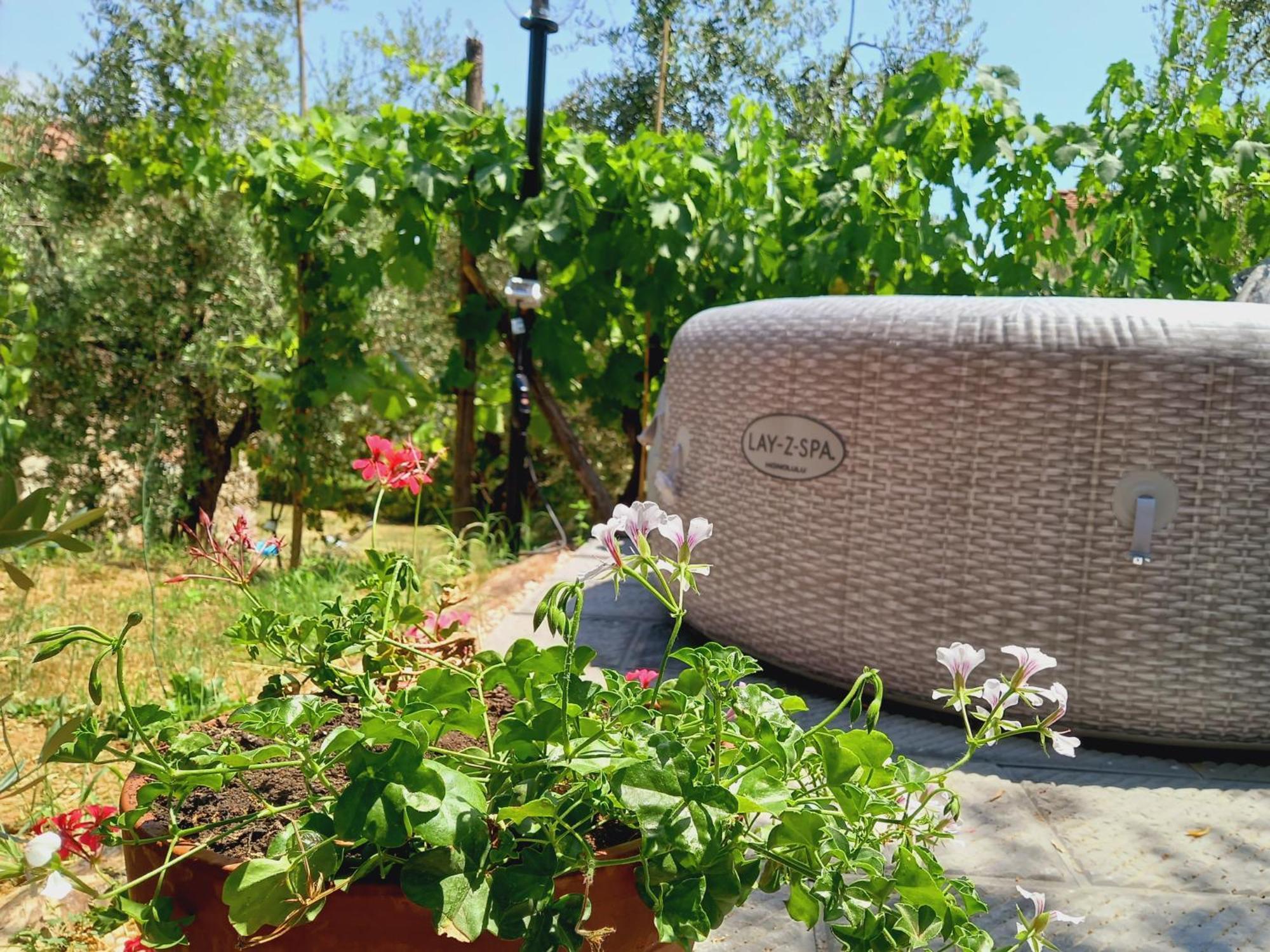 Agriturismo Fonteregia مونتيكاتيني تيرمي الغرفة الصورة