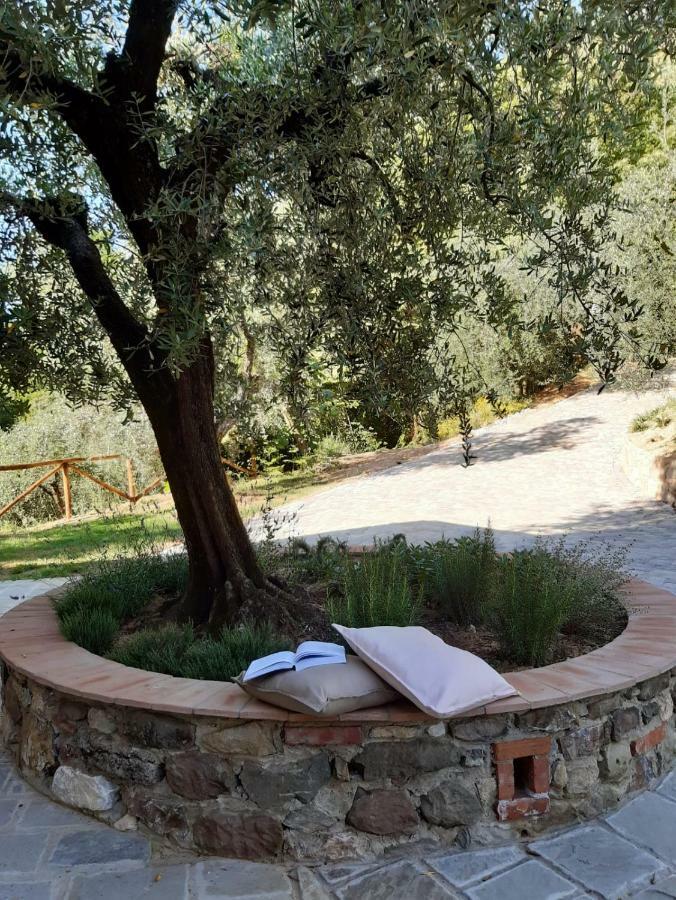 Agriturismo Fonteregia مونتيكاتيني تيرمي المظهر الخارجي الصورة