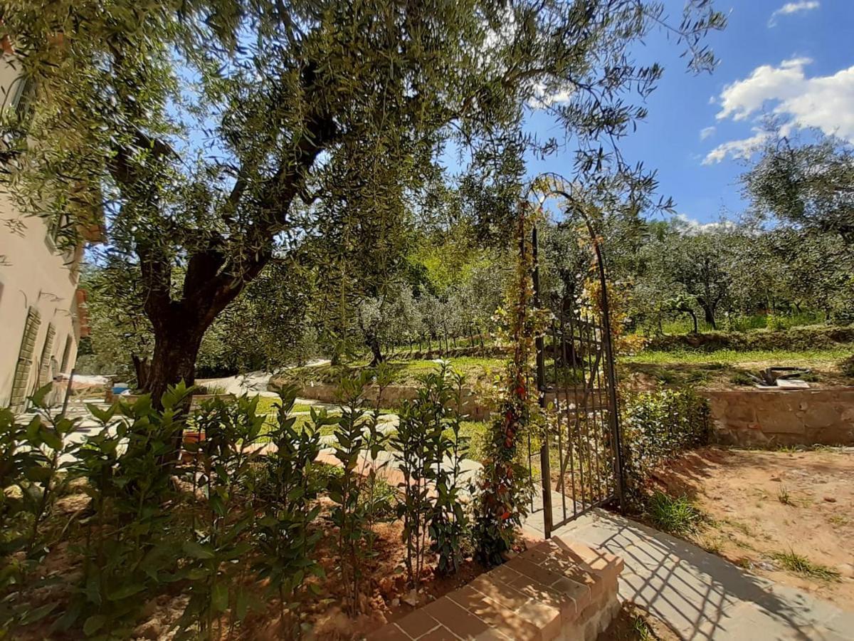 Agriturismo Fonteregia مونتيكاتيني تيرمي المظهر الخارجي الصورة