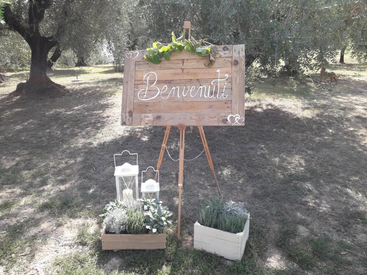 Agriturismo Fonteregia مونتيكاتيني تيرمي المظهر الخارجي الصورة