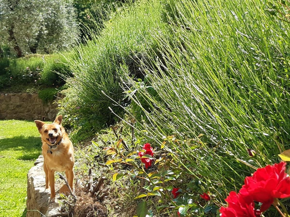 Agriturismo Fonteregia مونتيكاتيني تيرمي المظهر الخارجي الصورة