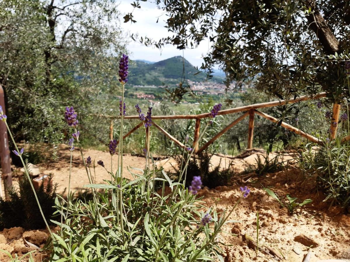Agriturismo Fonteregia مونتيكاتيني تيرمي المظهر الخارجي الصورة
