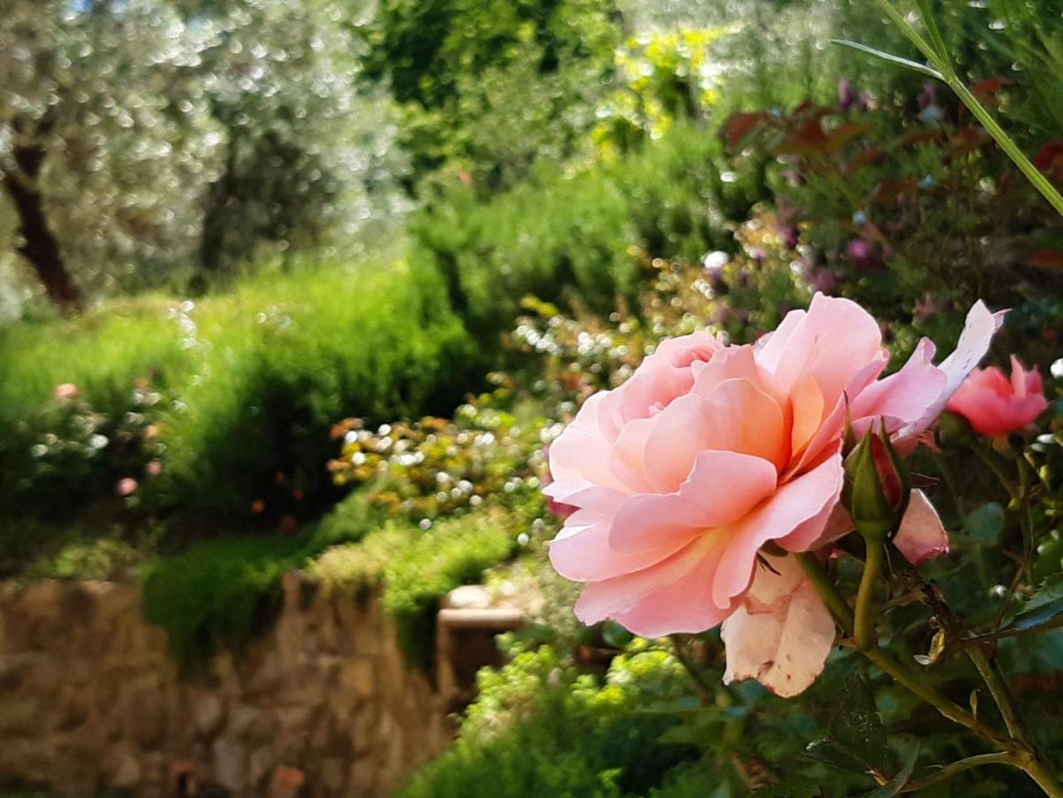 Agriturismo Fonteregia مونتيكاتيني تيرمي المظهر الخارجي الصورة