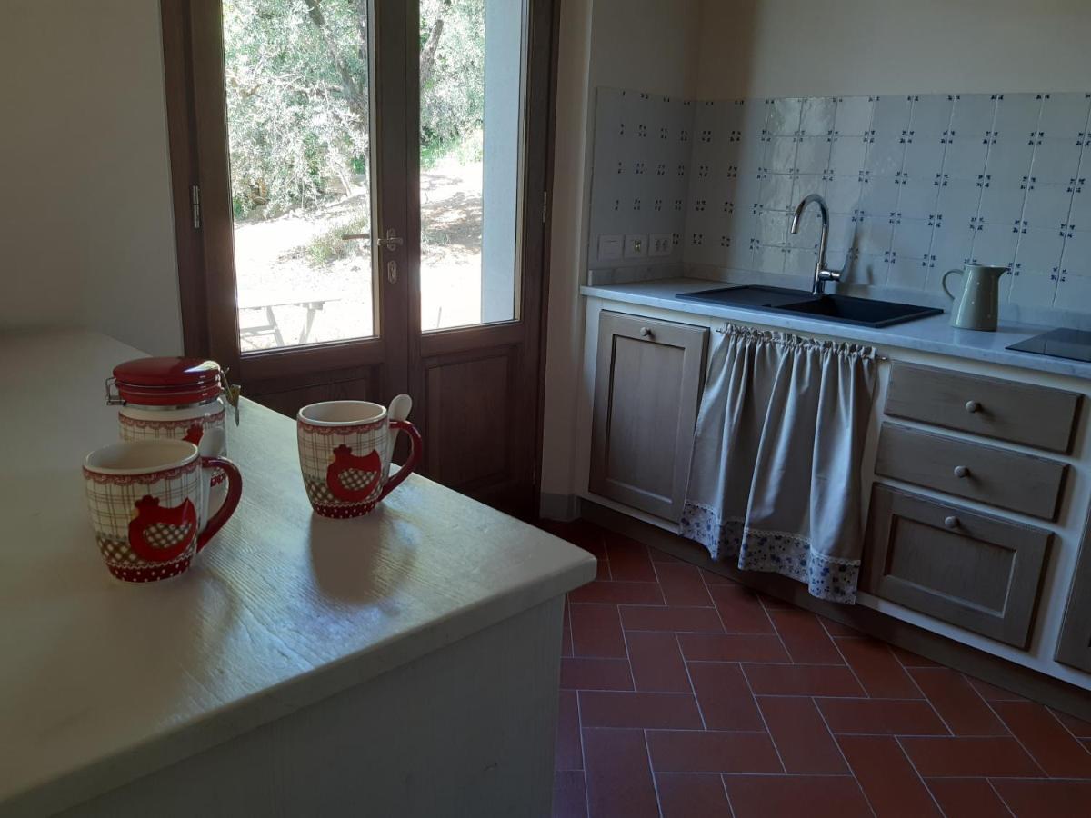 Agriturismo Fonteregia مونتيكاتيني تيرمي المظهر الخارجي الصورة
